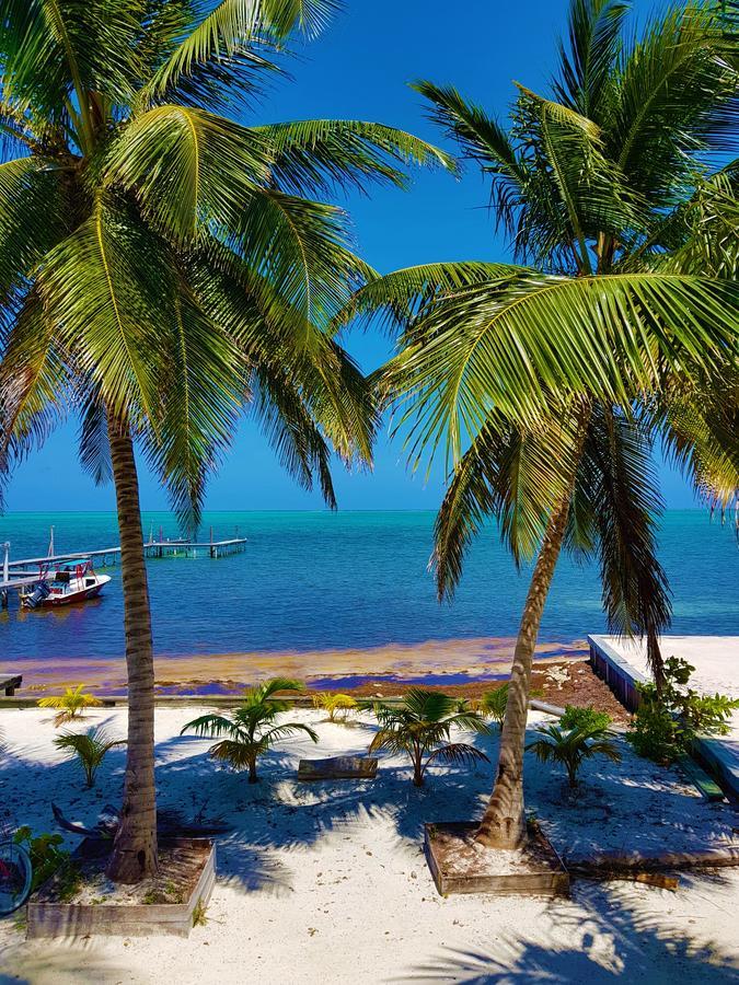 Carolyn'S House Caye Caulker Exterior foto